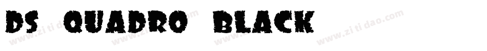 DS Quadro Black字体转换